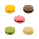 Macarons plateau 5 saveurs, 2x35x18gr